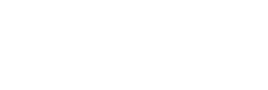 Zee Brains